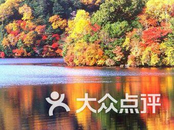 云南“00后”哈尼族小伙连续两天捐献造血干细胞 为13岁重度地中海贫血女孩生命续航