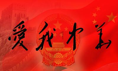 疯狂的小猫
